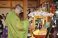 花まつり風景写真